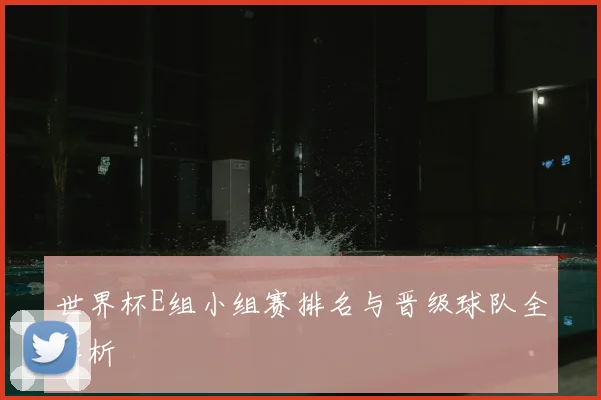 世界杯E组小组赛排名与晋级球队全解析