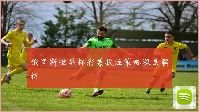 俄罗斯世界杯彩票投注策略深度解析
