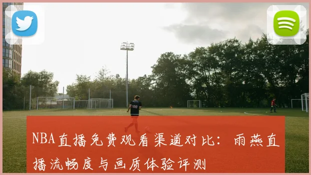 NBA直播免费观看渠道对比：雨燕直播流畅度与画质体验评测