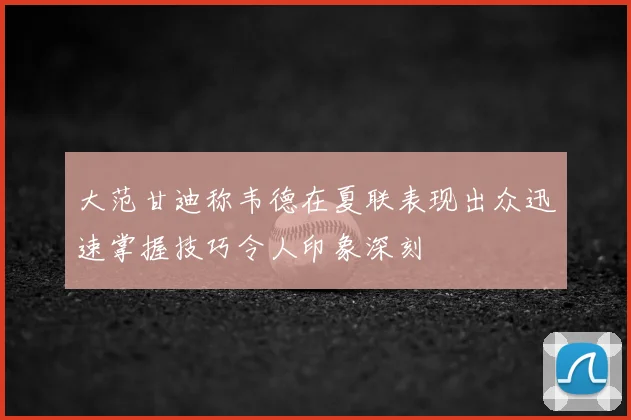 大范甘迪称韦德在夏联表现出众迅速掌握技巧令人印象深刻