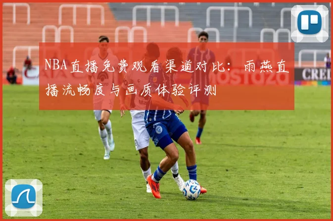 NBA直播免费观看渠道对比:雨燕直播流畅度与画质体验评测
