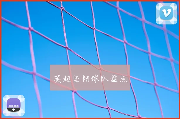 英超坚韧球队盘点