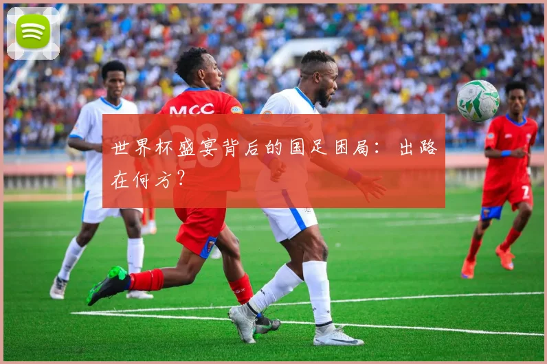 世界杯盛宴背后的国足困局：出路在何方？
