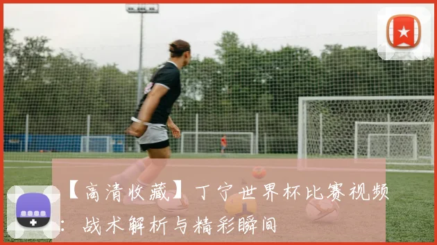【高清收藏】丁宁世界杯比赛视频：战术解析与精彩瞬间