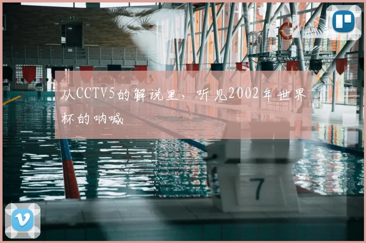 从CCTV5的解说里,听见2002年世界杯的呐喊