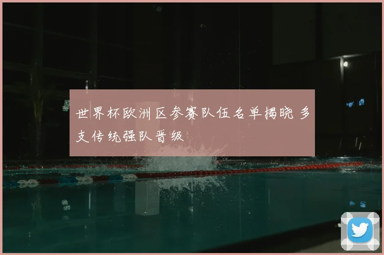 世界杯欧洲区参赛队伍名单揭晓 多支传统强队晋级