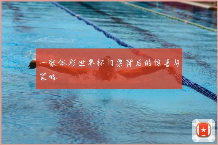 一张体彩世界杯门票背后的惊喜与策略