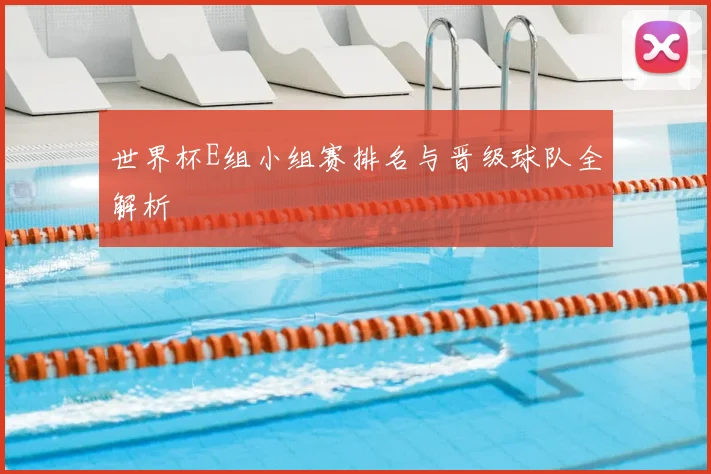 世界杯E组小组赛排名与晋级球队全解析