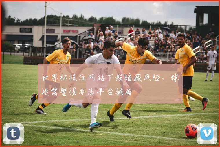 世界杯投注网站下载暗藏风险,球迷需警惕非法平台骗局